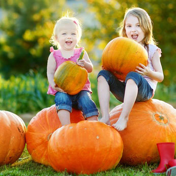 pumpkin time for children in south woodham ferrers